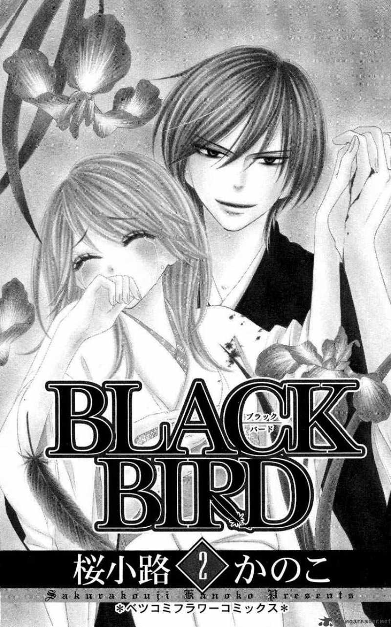 Black Bird 6 4
