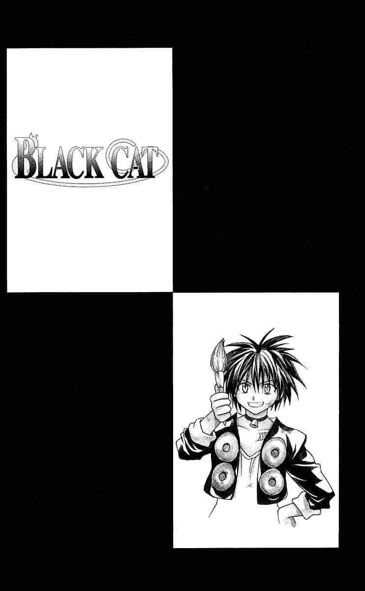Black Cat 172 20