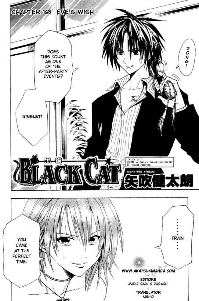 Black Cat 36 3