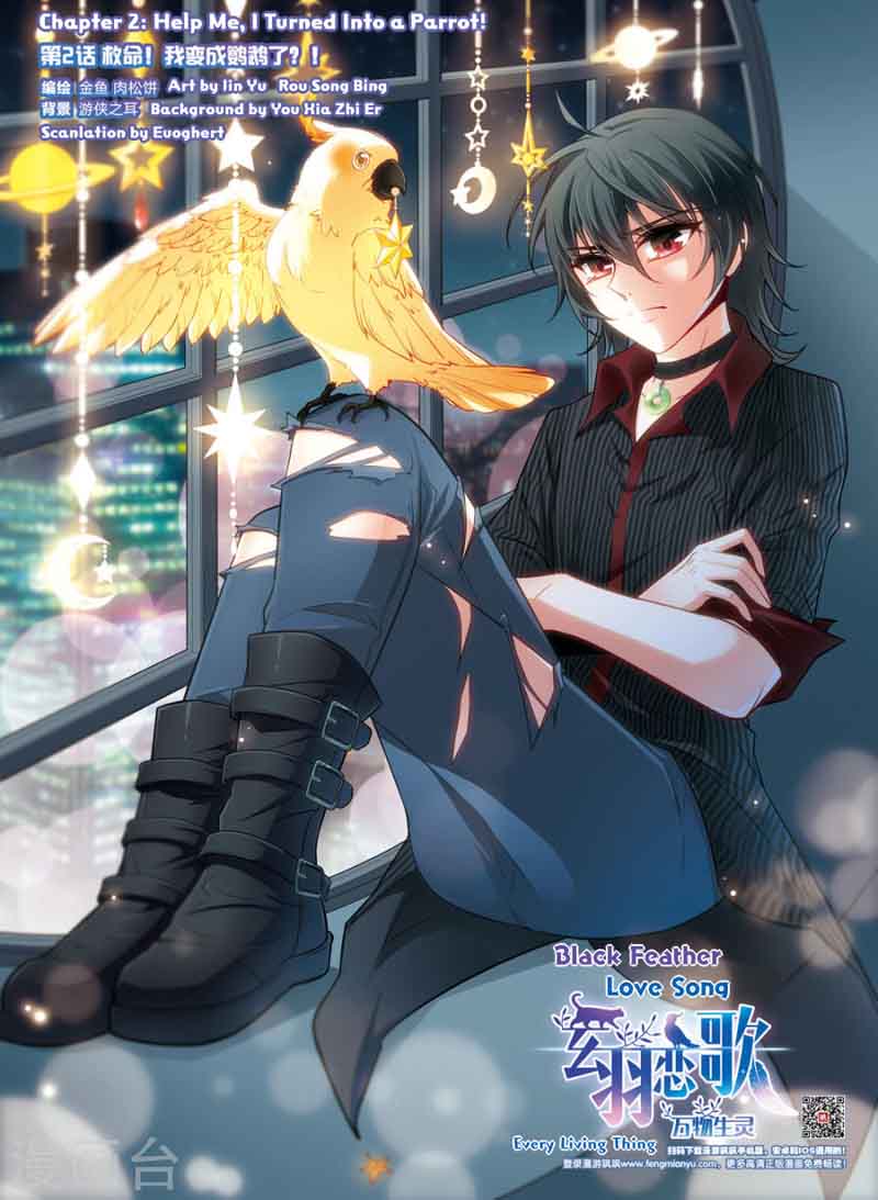 Black Feather Love Song 2 1