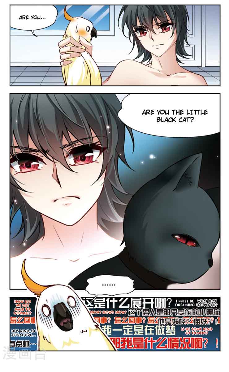 Black Feather Love Song 2 6