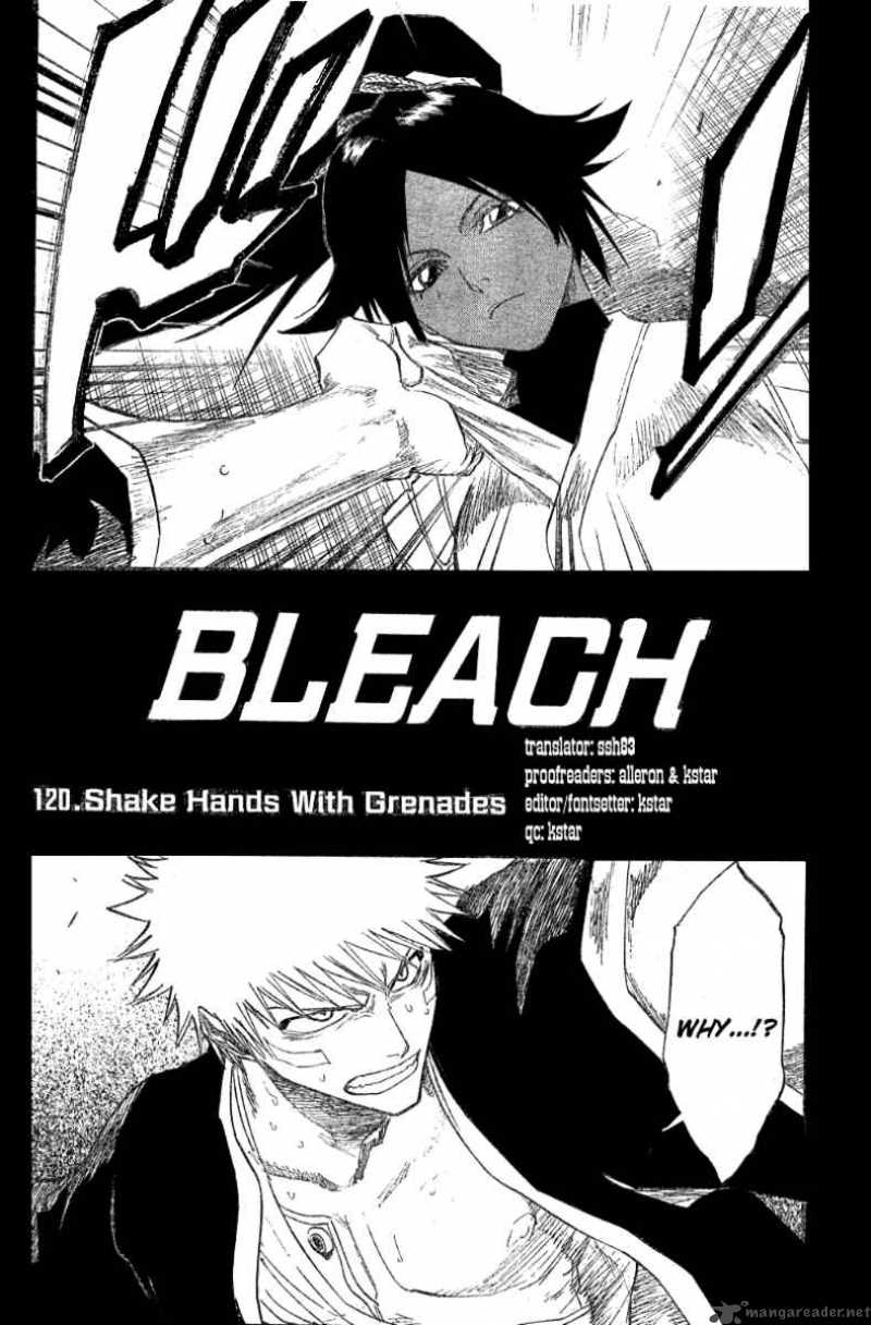 Bleach 120 5