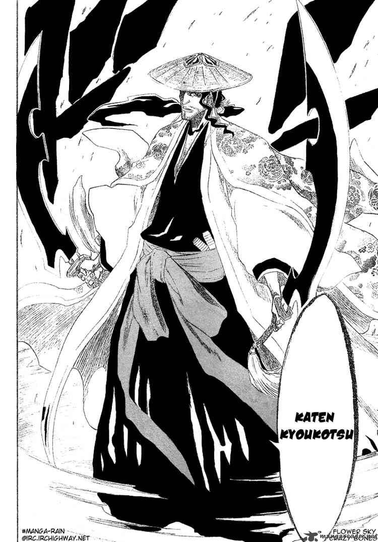 Bleach 156 13