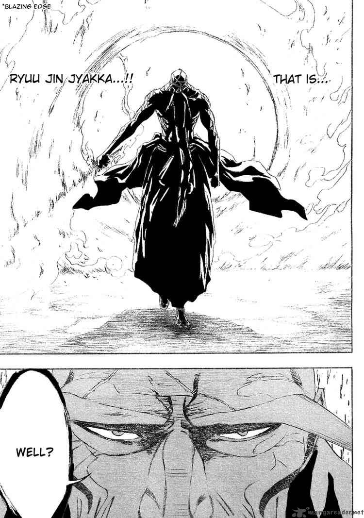 Bleach 156 8