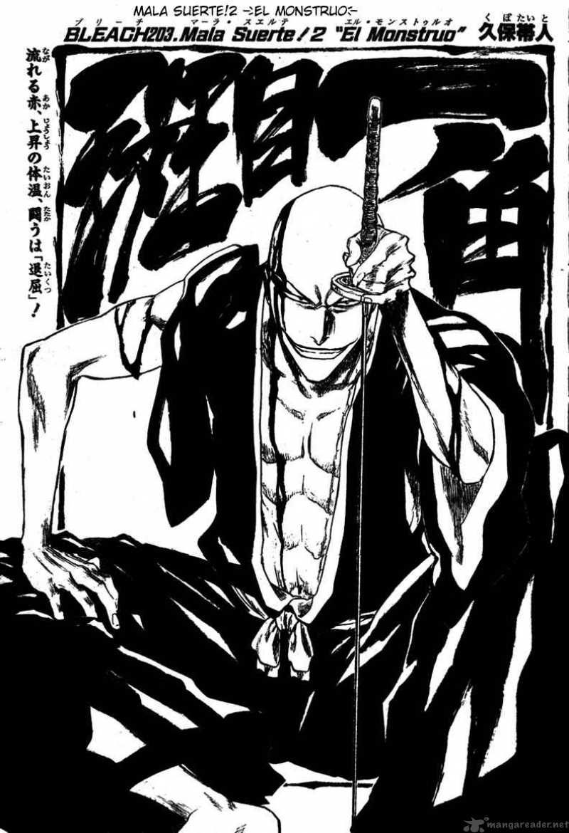 Bleach 203 11