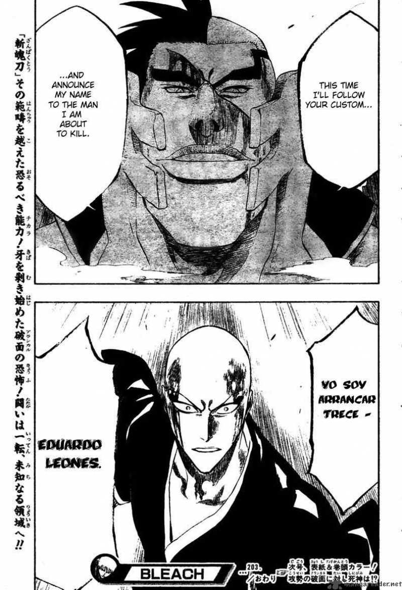 Bleach 203 23