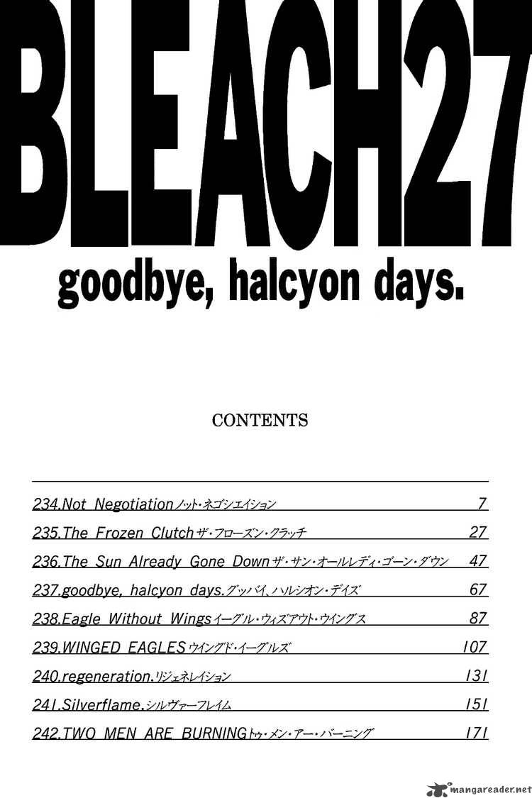 Bleach 234 5