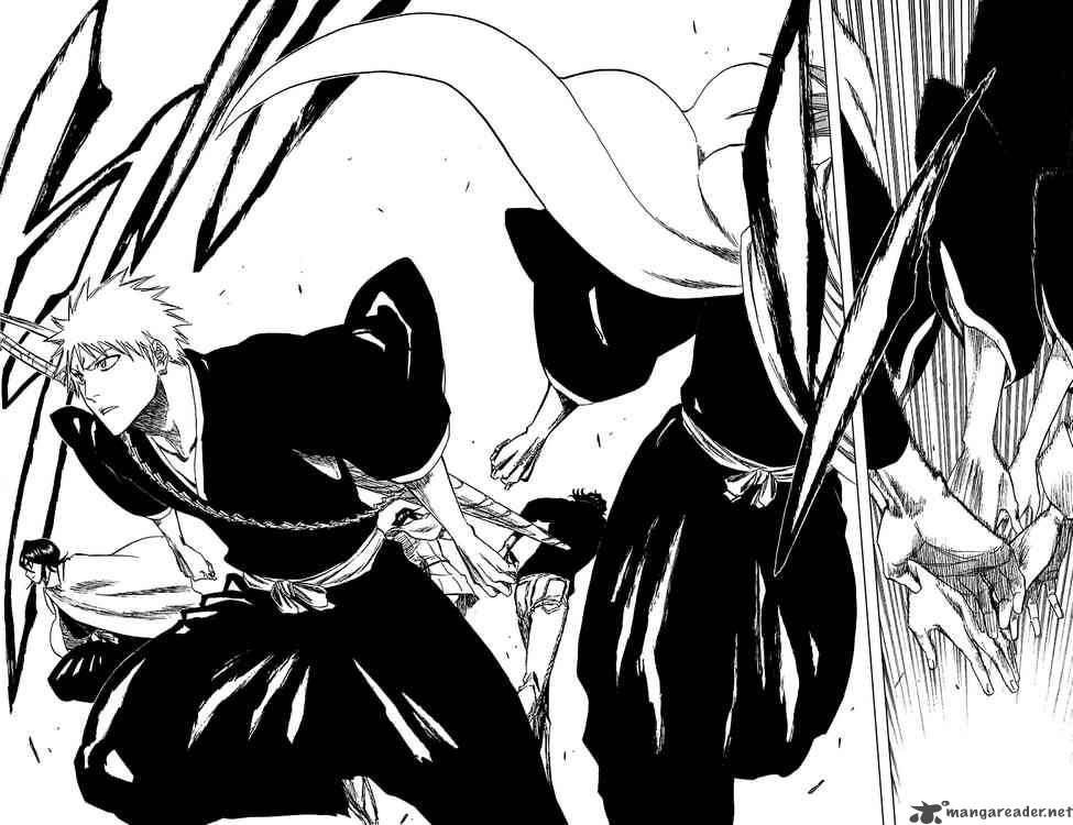 Bleach 248 18