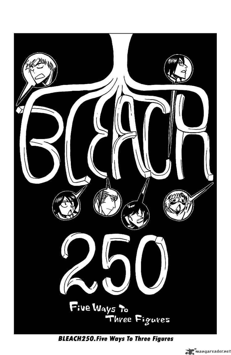 Bleach 250 3