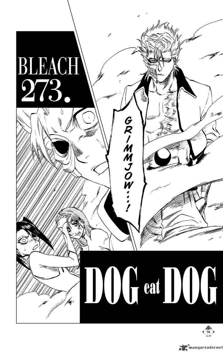 Bleach 273 2