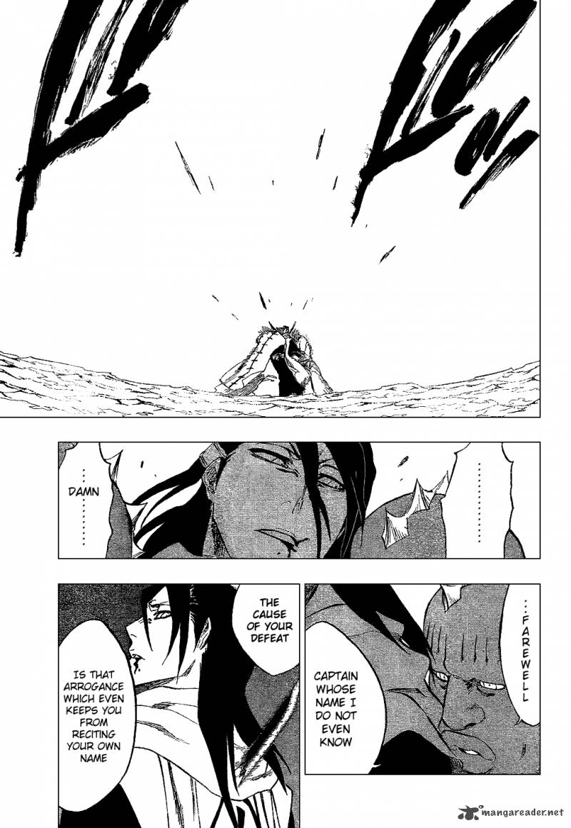 Bleach 299 18