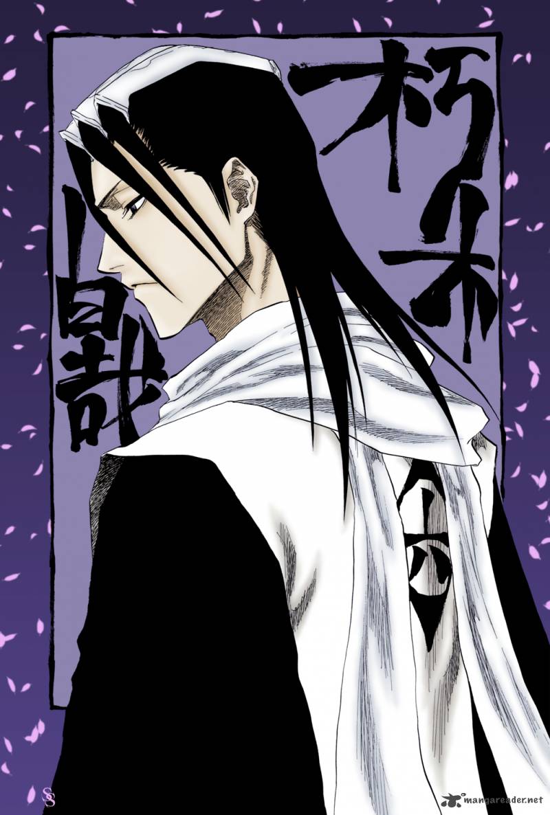 Bleach 301 24