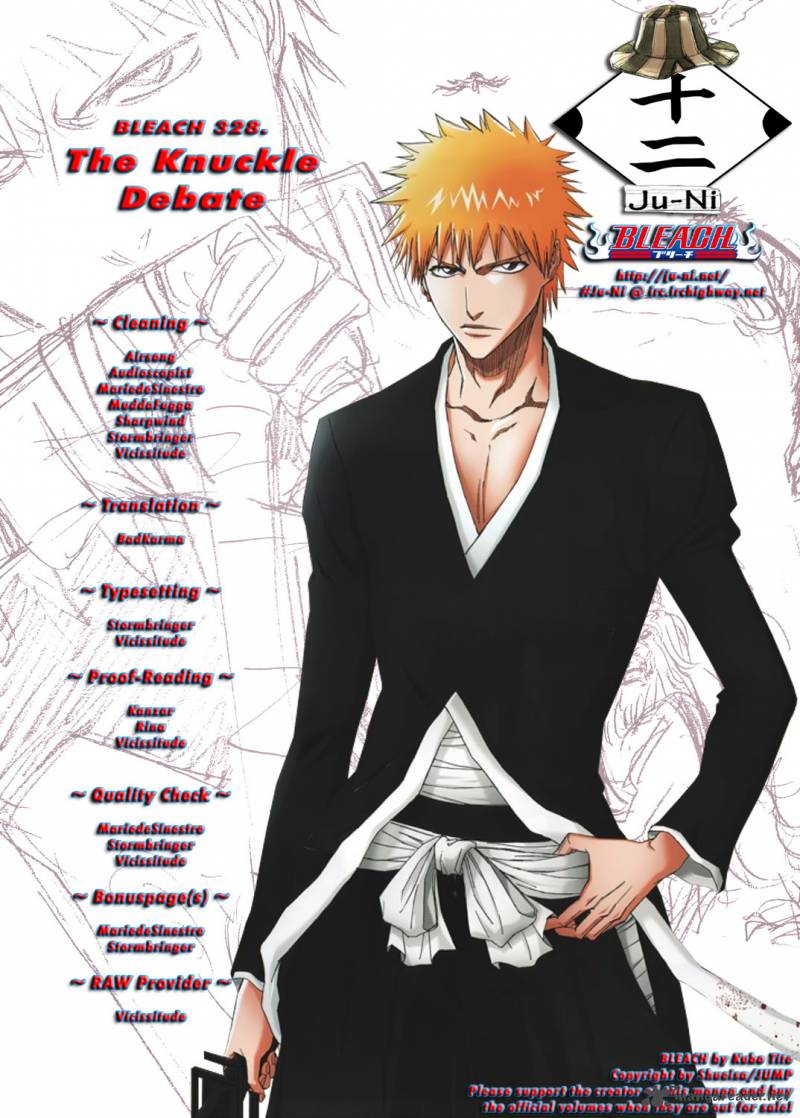 Bleach 328 1