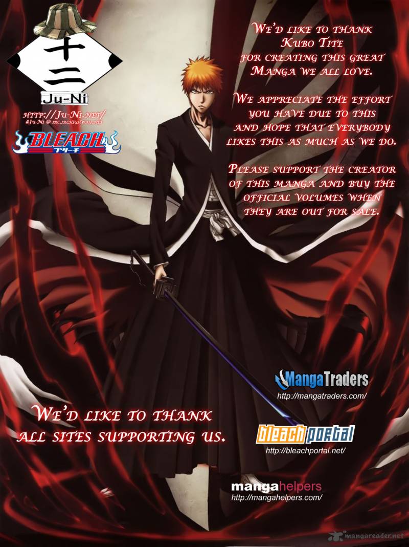 Bleach 328 2