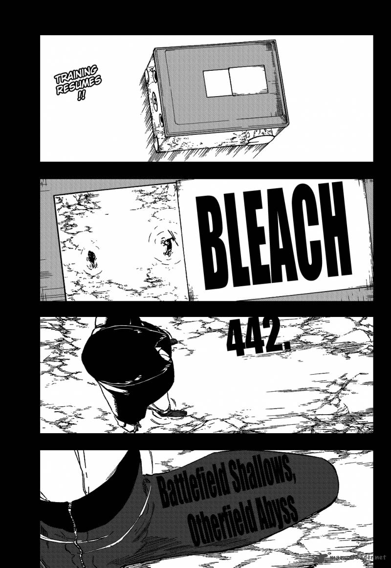 Bleach 442 6