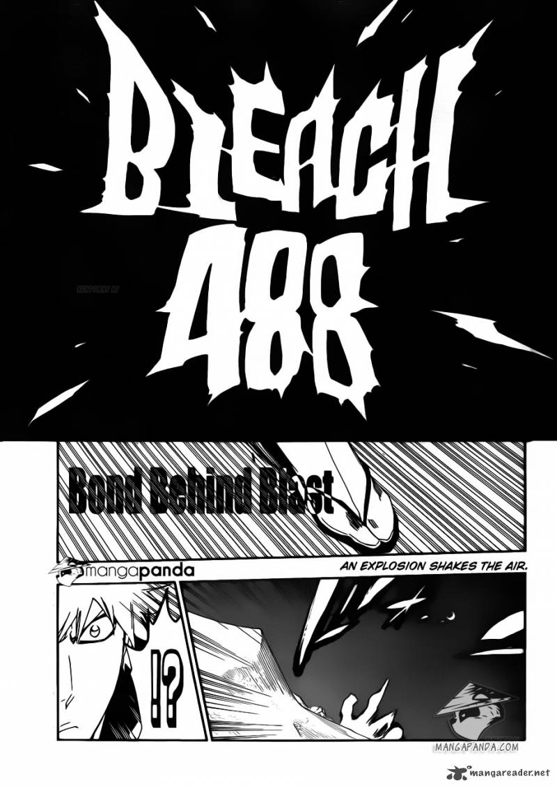 Bleach 488 3