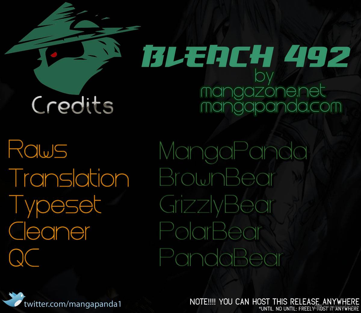 Bleach 492 18