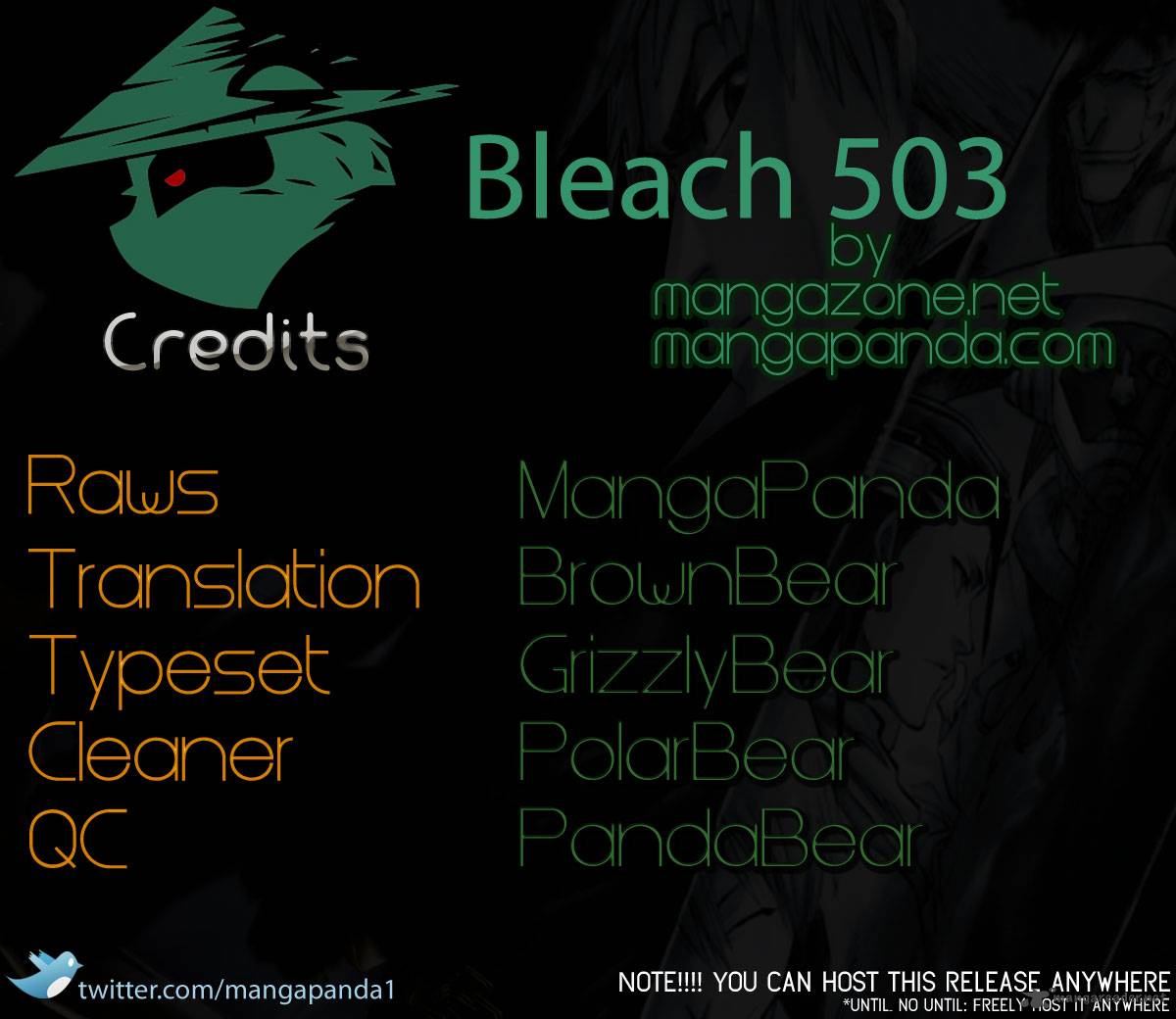 Bleach 503 17