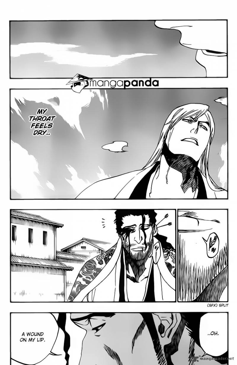 Bleach 507 6