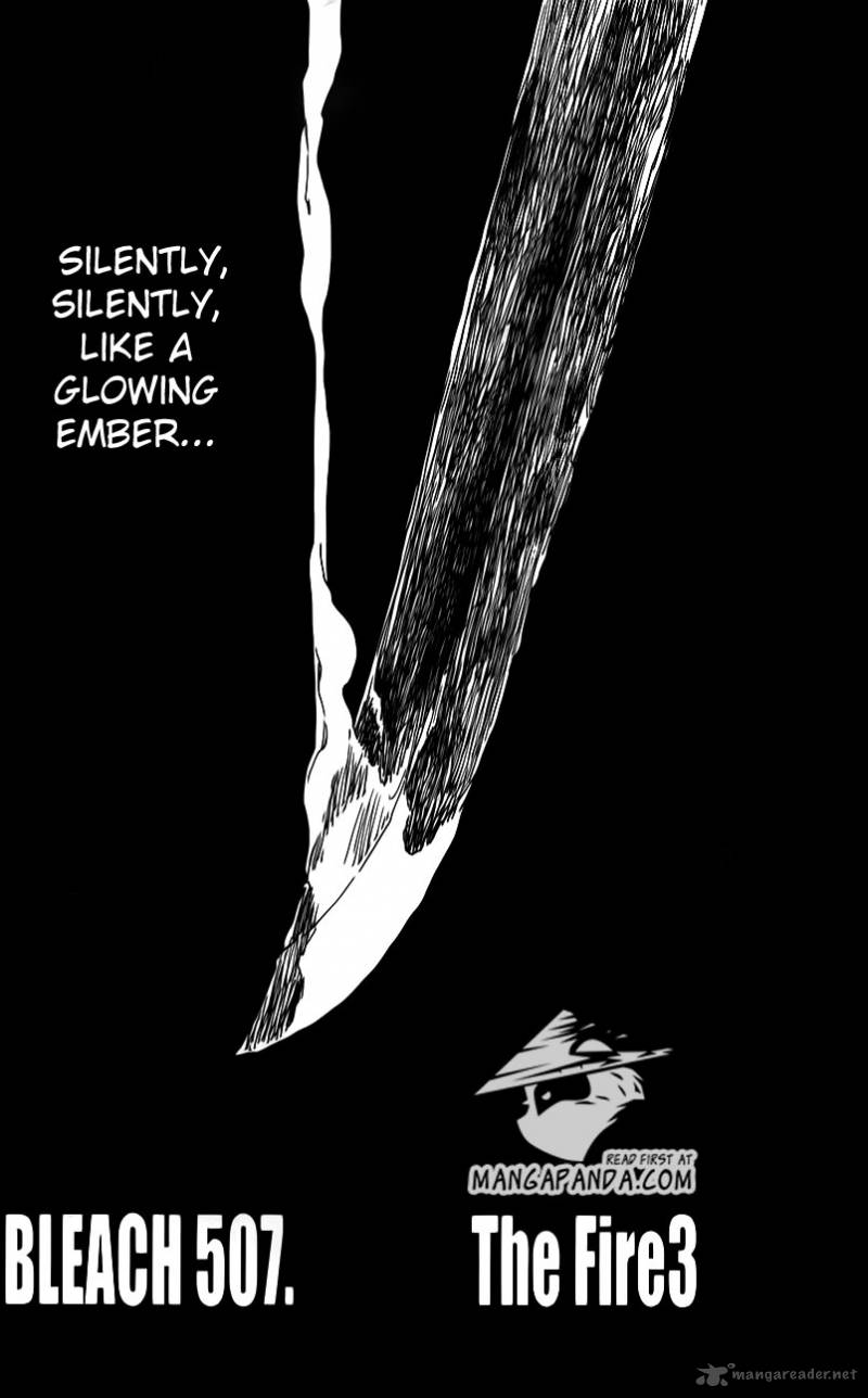 Bleach 507 9