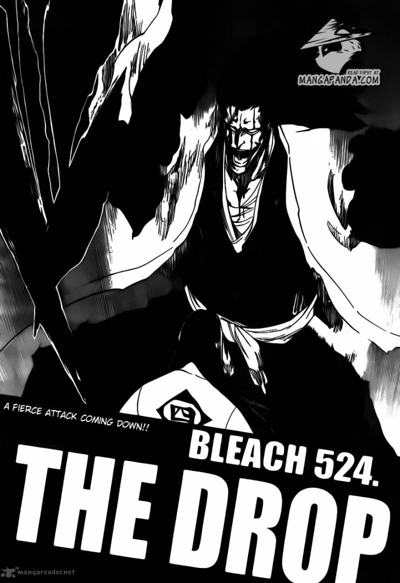 Bleach 524 6