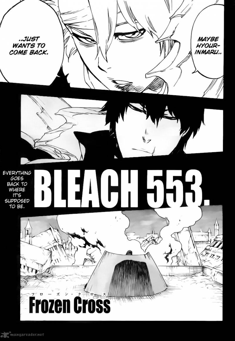 Bleach 553 5