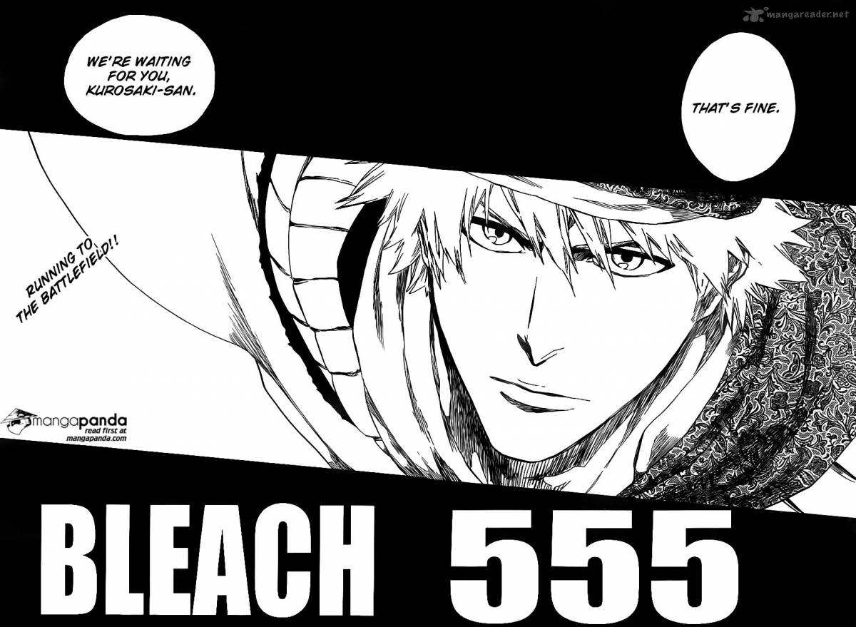 Bleach 555 13