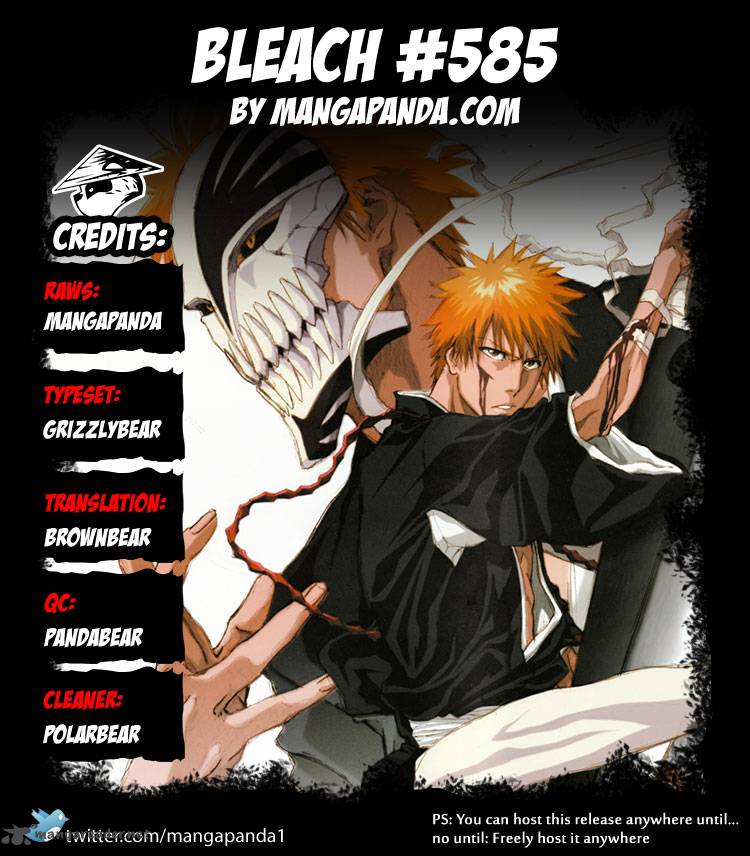 Bleach 585 19