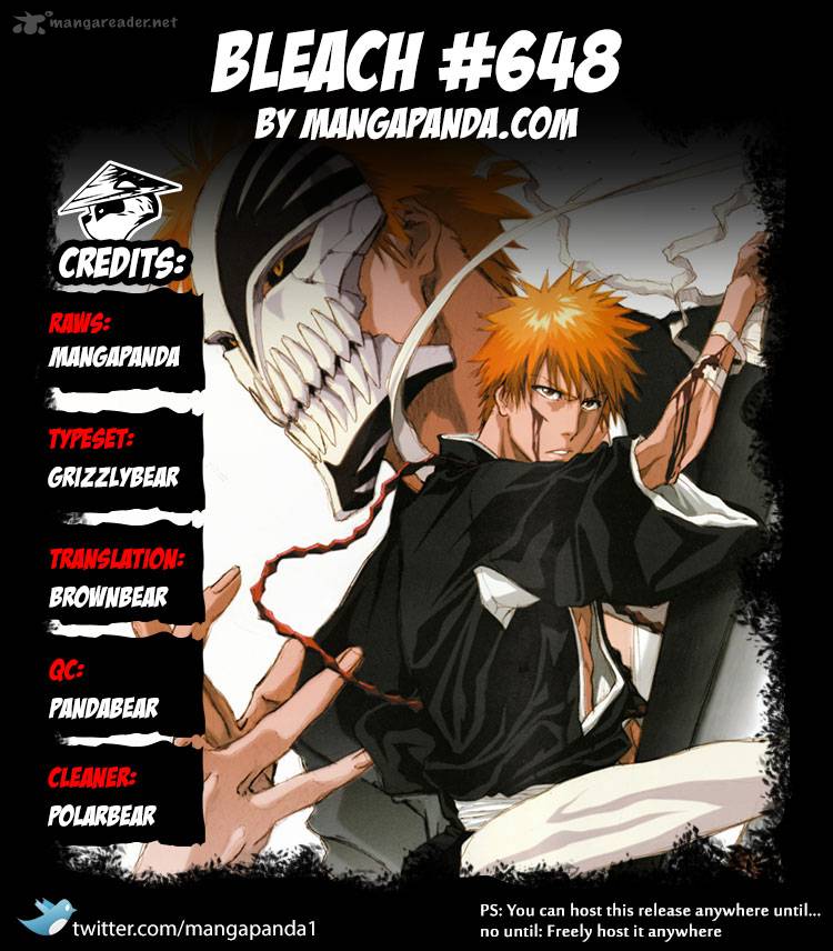 Bleach 648 18