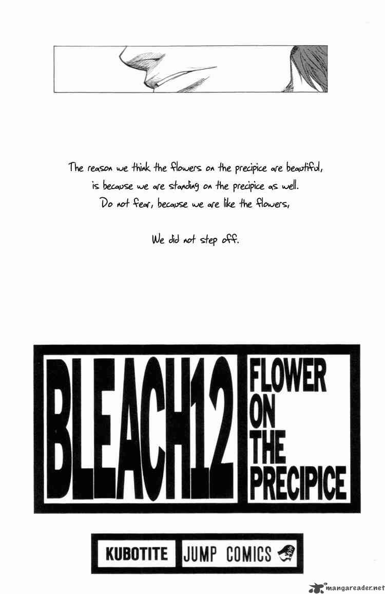 Bleach 99 3