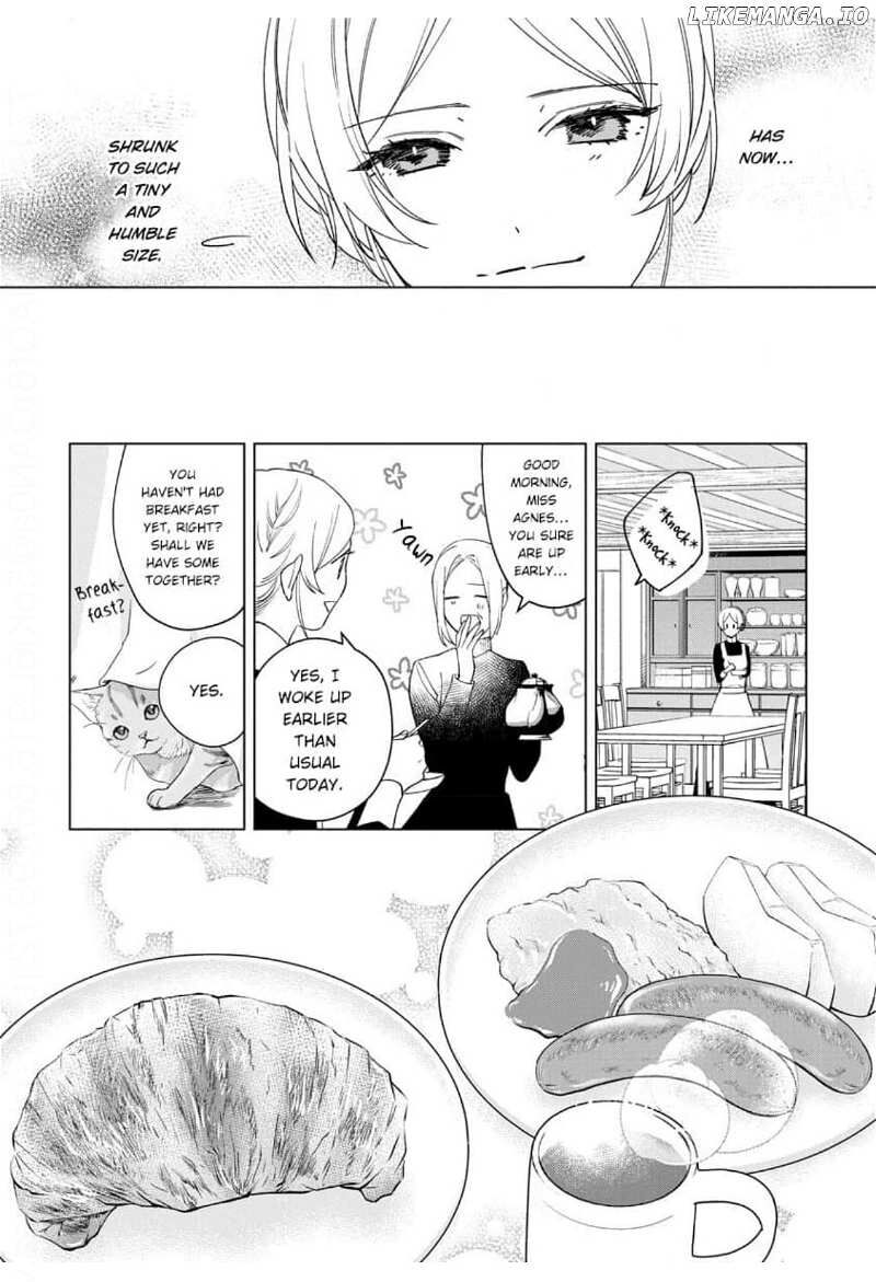 Botsuraku Reijou Binbou Kishi No Maid Ni Narimasu 7 29