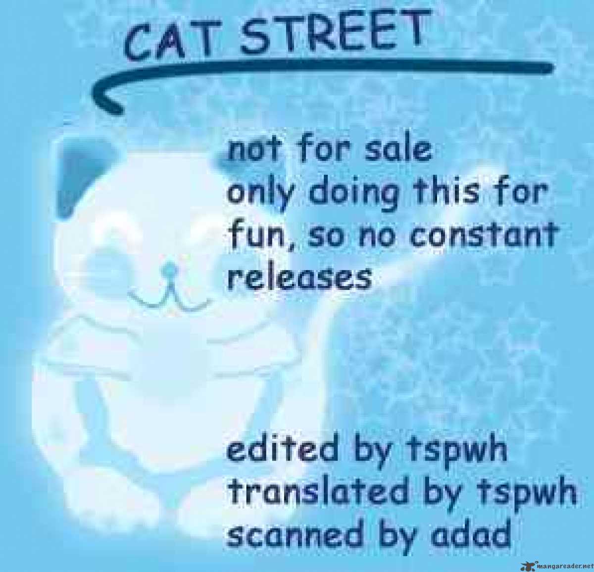 Cat Street 13 45