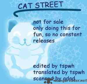 Cat Street 16 42