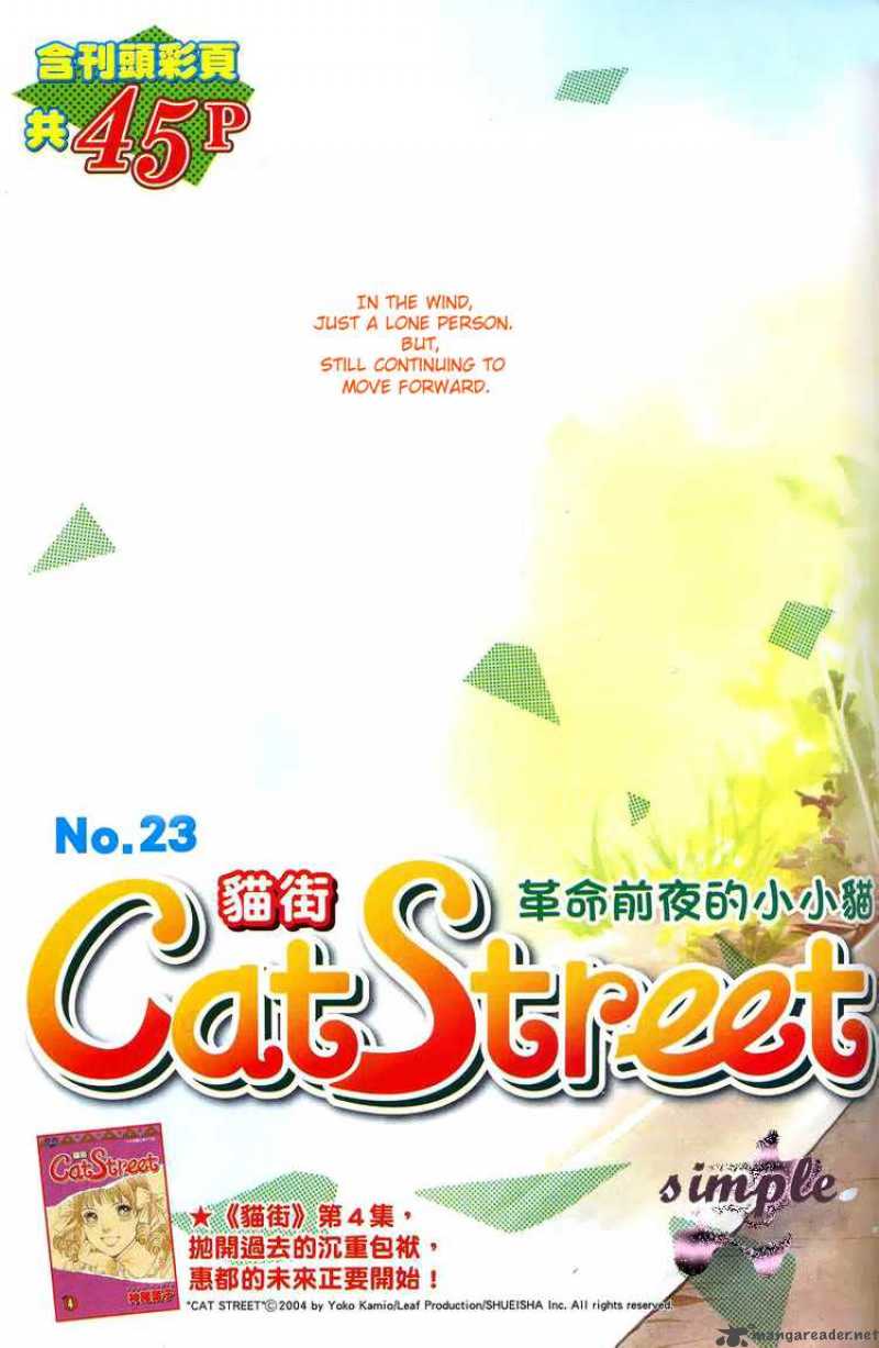 Cat Street 23 2
