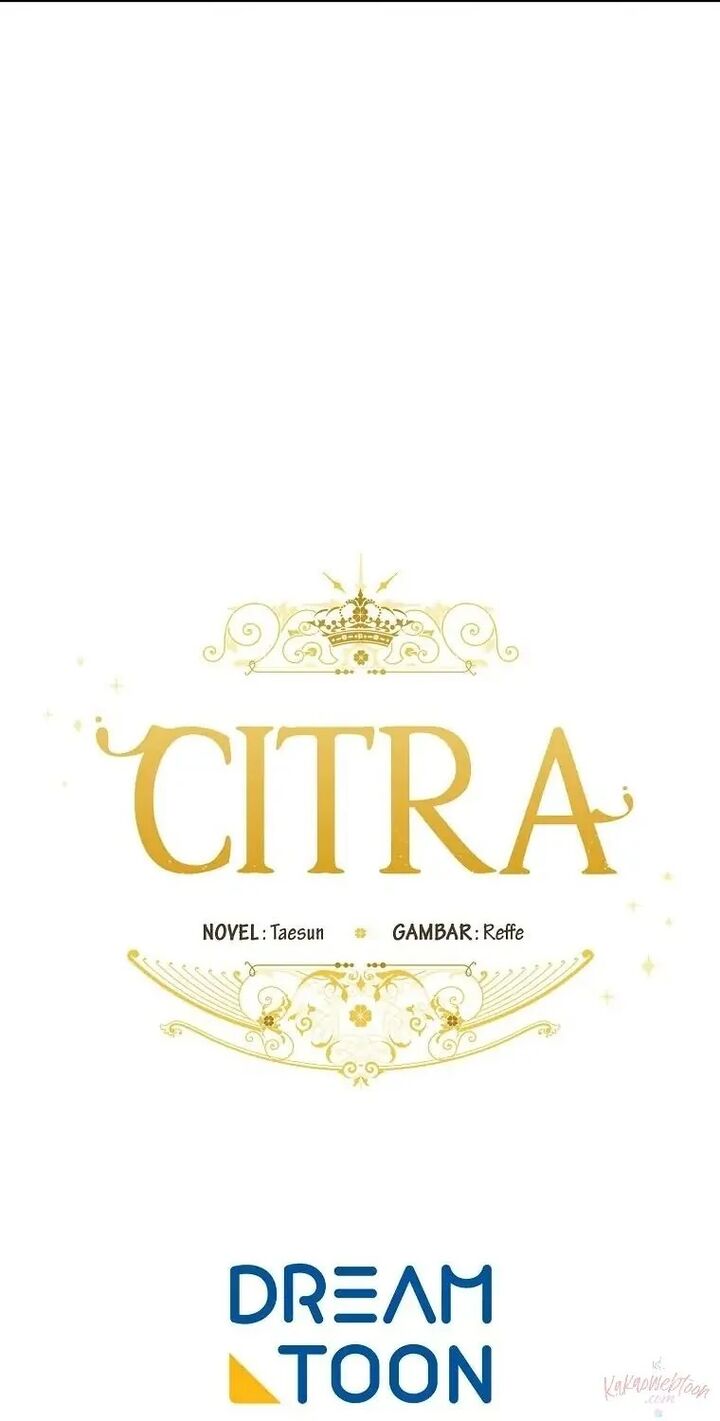 Chitra 191 61