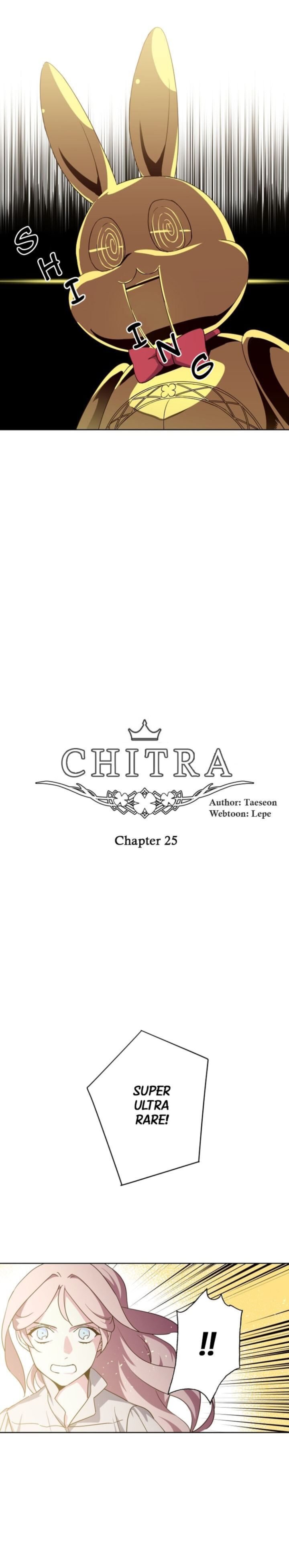 Chitra 25 4