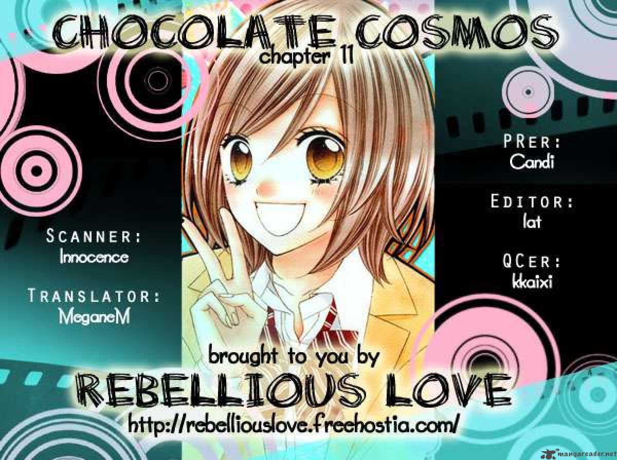 Chocolate Cosmos 11 34