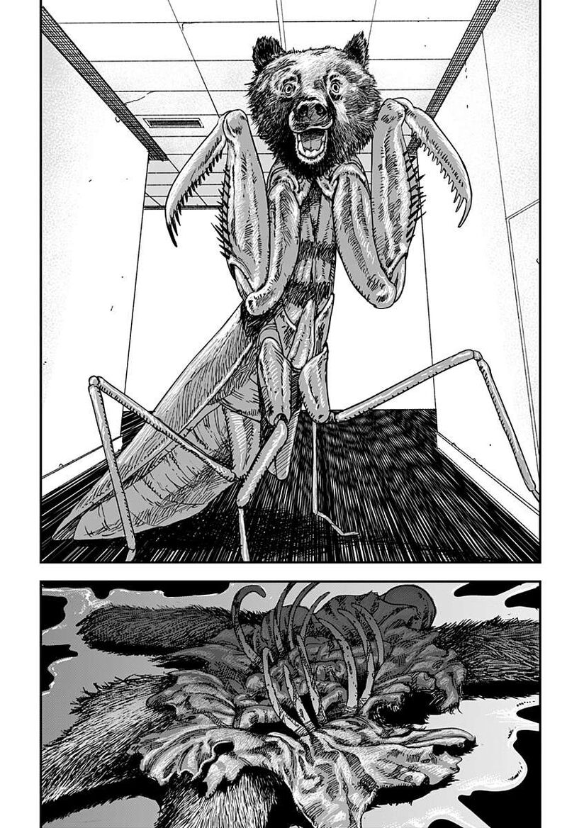 Coronica No Nou 15 3