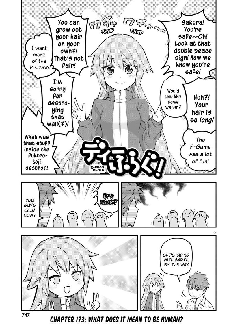 D Frag 173 1