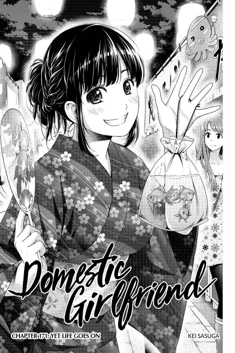 Domestic Na Kanojo 171 1