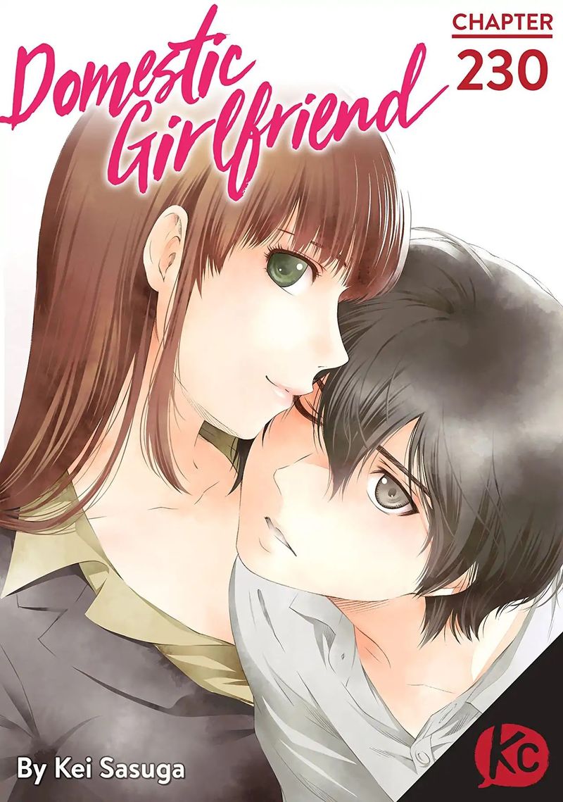 Domestic Na Kanojo 230 1