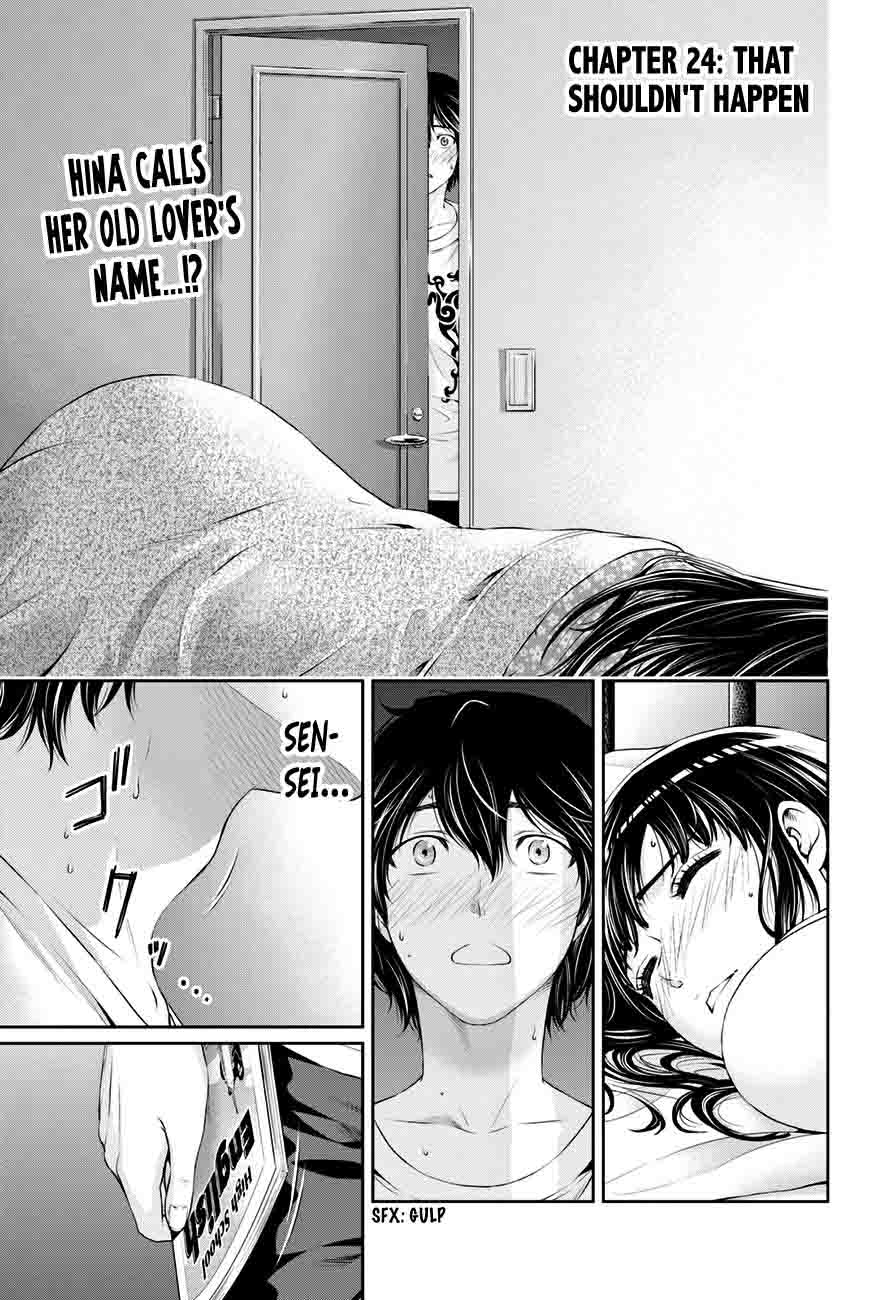 Domestic Na Kanojo 24 1