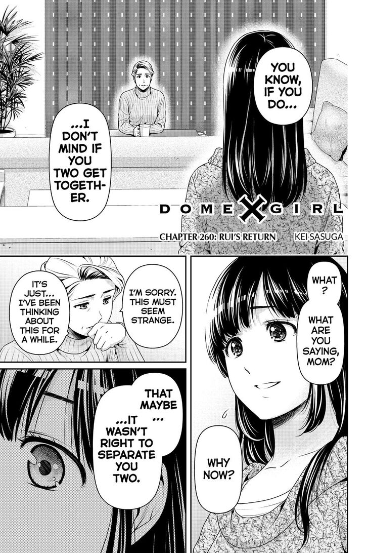 Domestic Na Kanojo 260 2