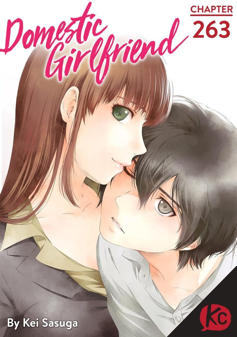 Domestic Na Kanojo 263 1