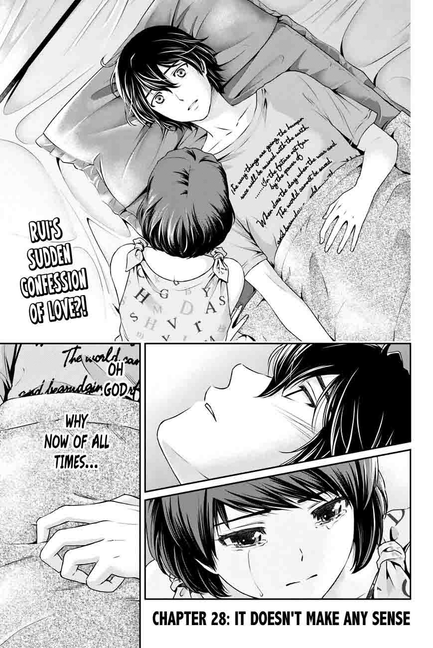 Domestic Na Kanojo 28 1