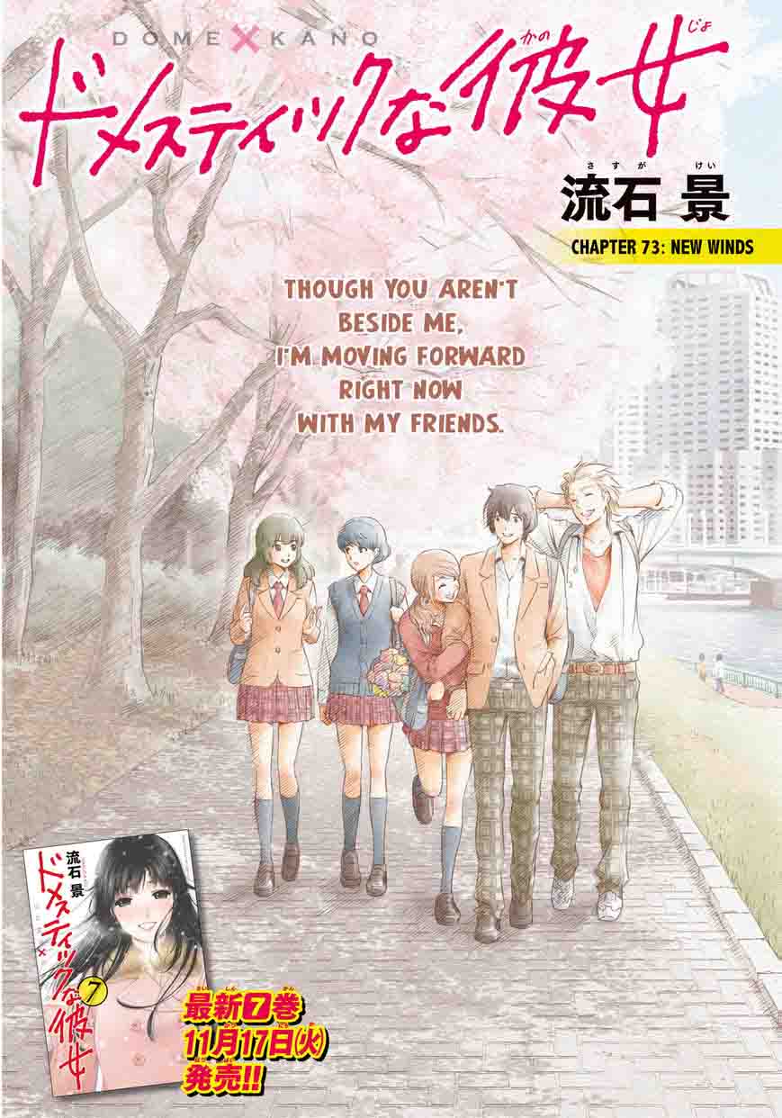 Domestic Na Kanojo 73 2