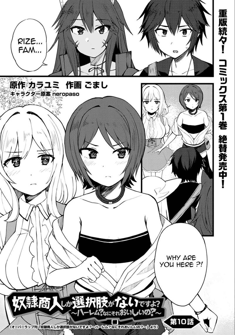 Dorei Shounin Shika Sentakushi Ga Nai Desu Yo Harem Nani Sore OishII No 10 2
