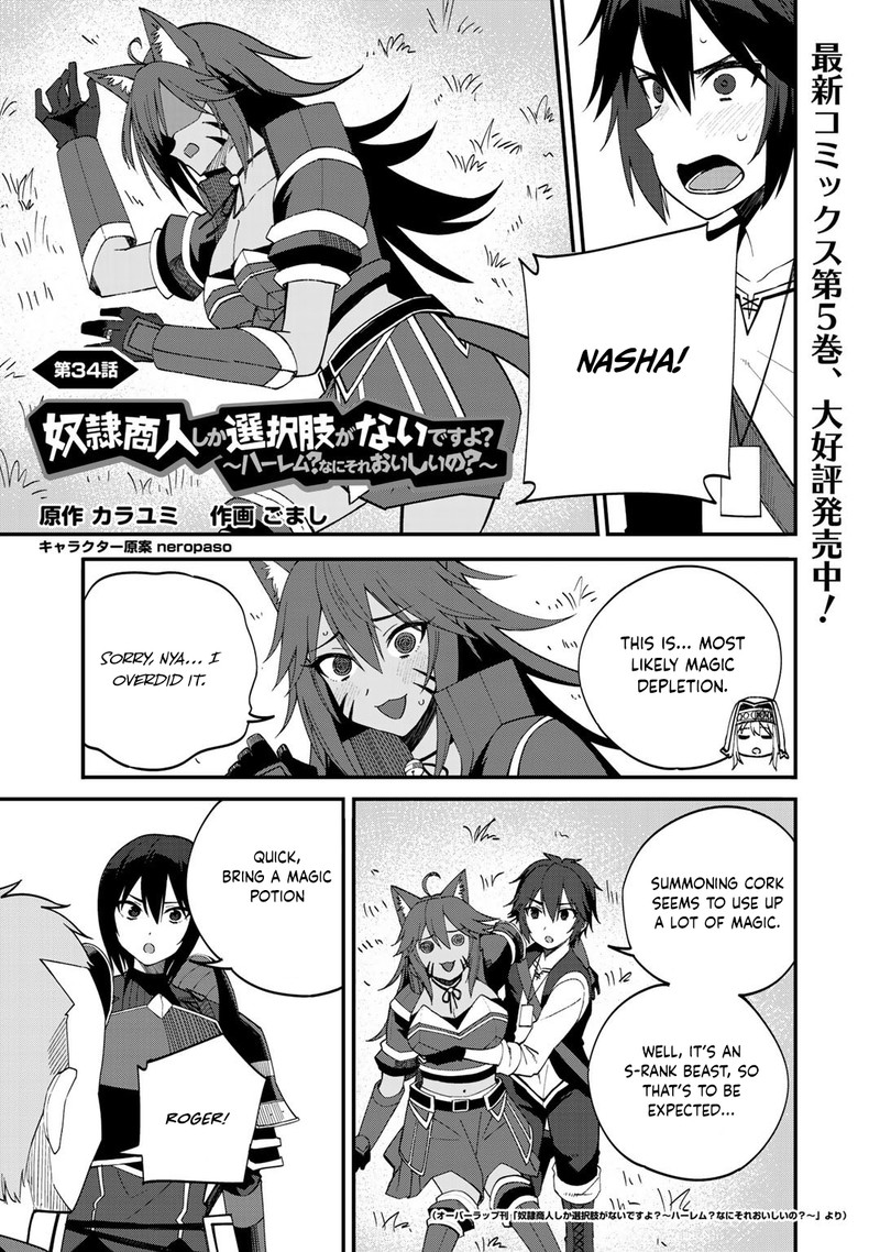 Dorei Shounin Shika Sentakushi Ga Nai Desu Yo Harem Nani Sore OishII No 34 1