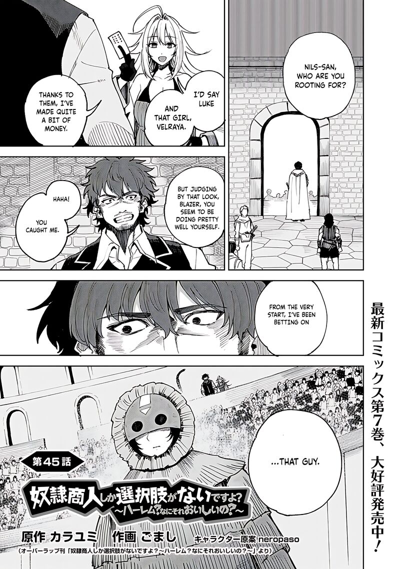 Dorei Shounin Shika Sentakushi Ga Nai Desu Yo Harem Nani Sore OishII No 45 2