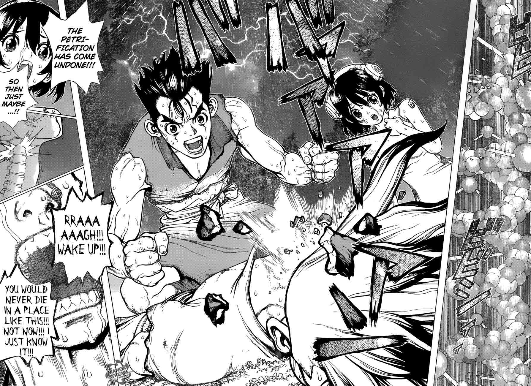 Dr Stone 12 14